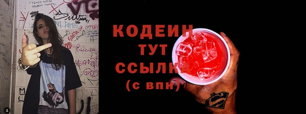 соль ск Заводоуковск