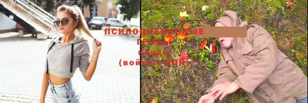 хмурый Заволжье