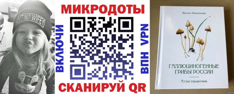Псилоцибиновые грибы мухоморы Купить закладки Дудинка